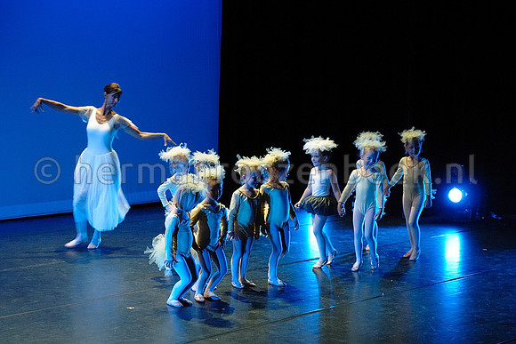 dsc_4743